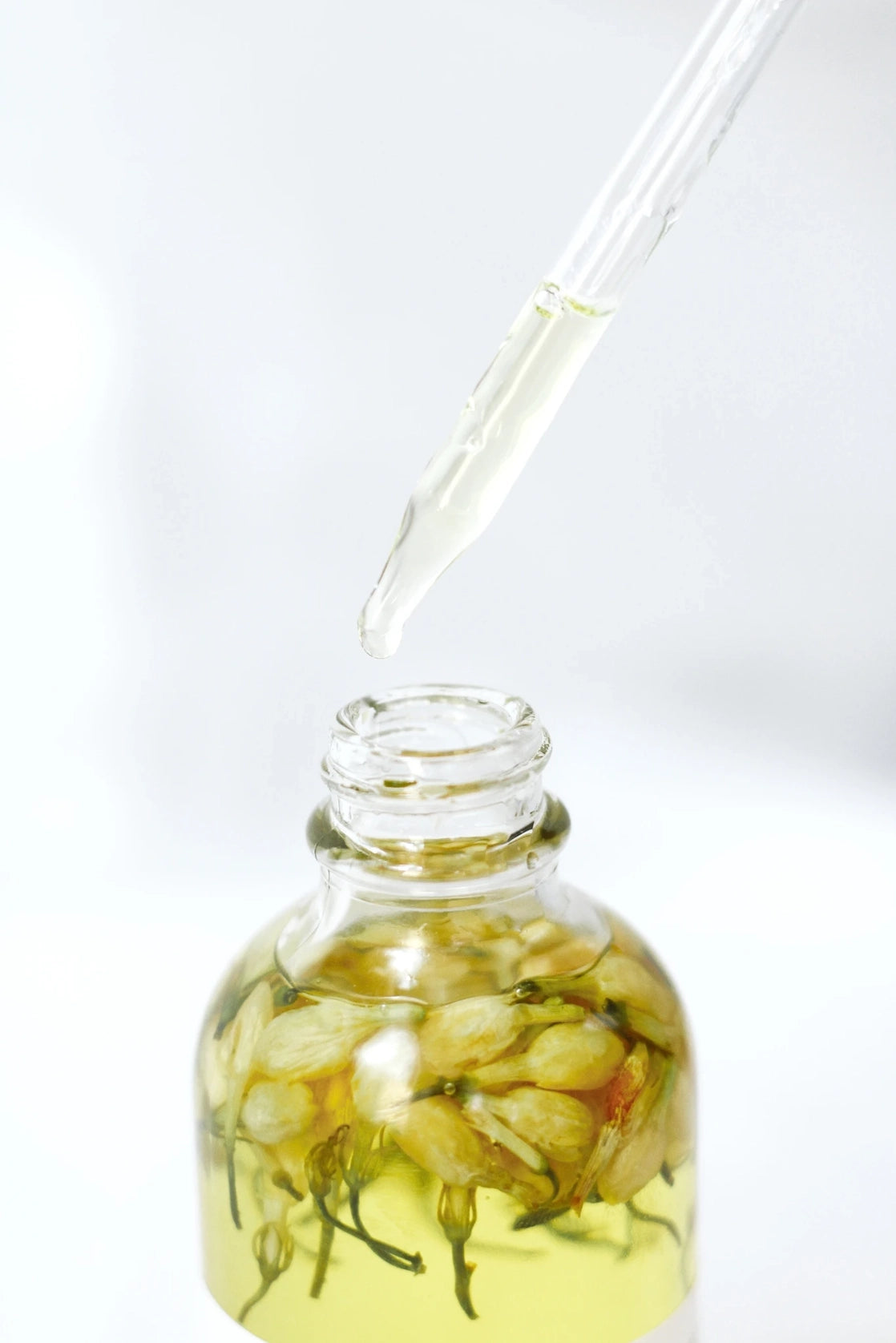 Jasmine Body Oil